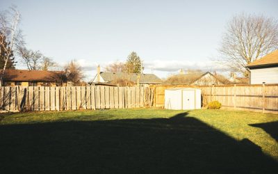 What Maintenance Routine Does A Wood Privacy Fence Require To Last Decades?