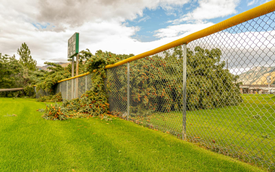 Which Heights for Commercial Chain Link Fence Meet Local South Texas Security Standards?