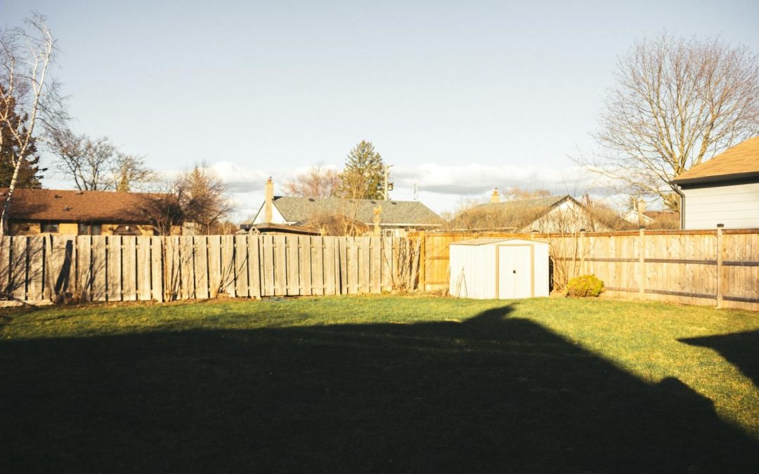 Residential backyard with wooden fence, shed, lawns, and tree shadows on a sunny day.