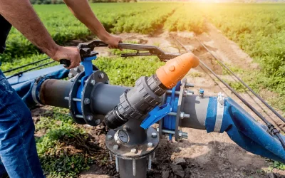 How Can an Efficient Irrigation Service Lower Your Monthly Water Bill?
